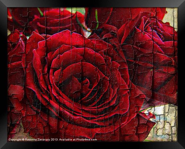 Love Roses. Framed Print by Rosanna Zavanaiu