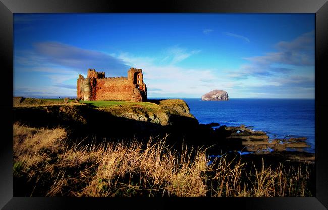 tantallon by the sea Framed Print by dale rys (LP)
