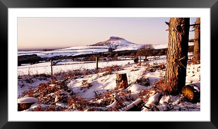 Winter Topping Framed Mounted Print by Trevor Camp
