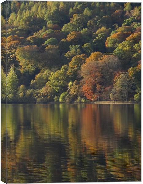 Autumnal Reflections Canvas Print by Cheryl Quine