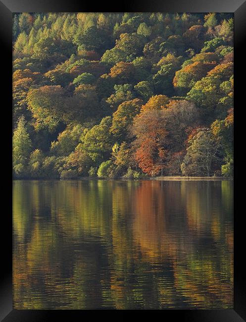 Autumnal Reflections Framed Print by Cheryl Quine