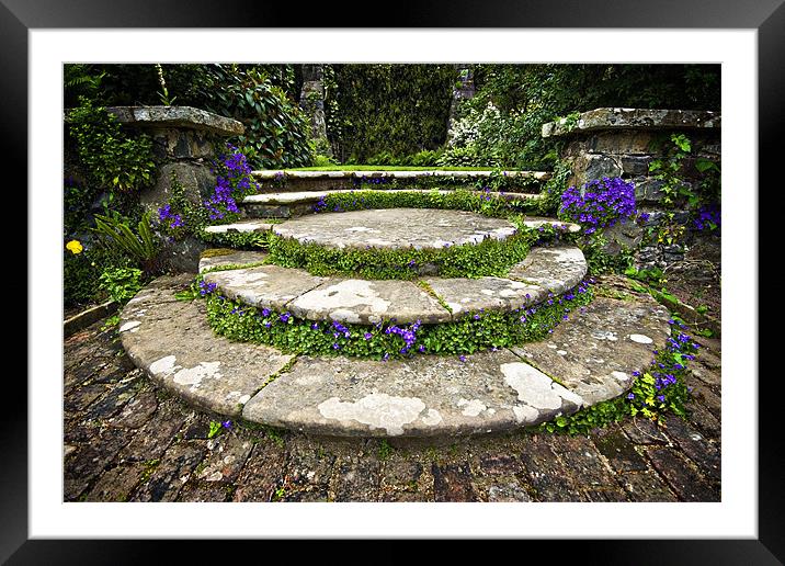 beautifully planted stone garden steps Framed Mounted Print by meirion matthias