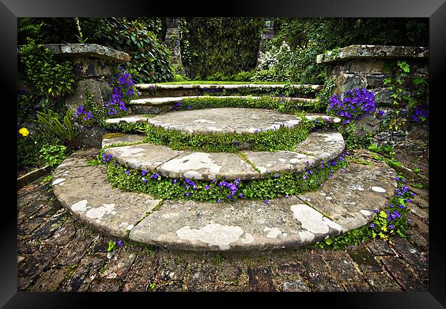 beautifully planted stone garden steps Framed Print by meirion matthias