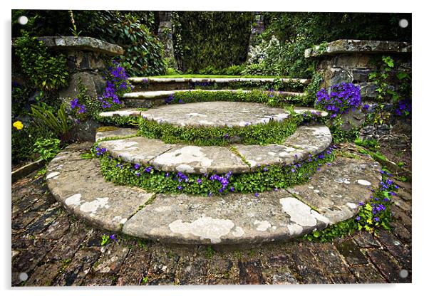 beautifully planted stone garden steps Acrylic by meirion matthias