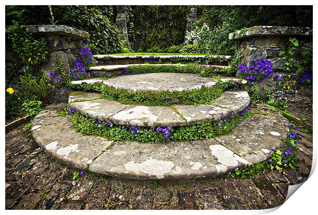 beautifully planted stone garden steps Print by meirion matthias