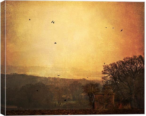Red sky in the morning Canvas Print by Dawn Cox