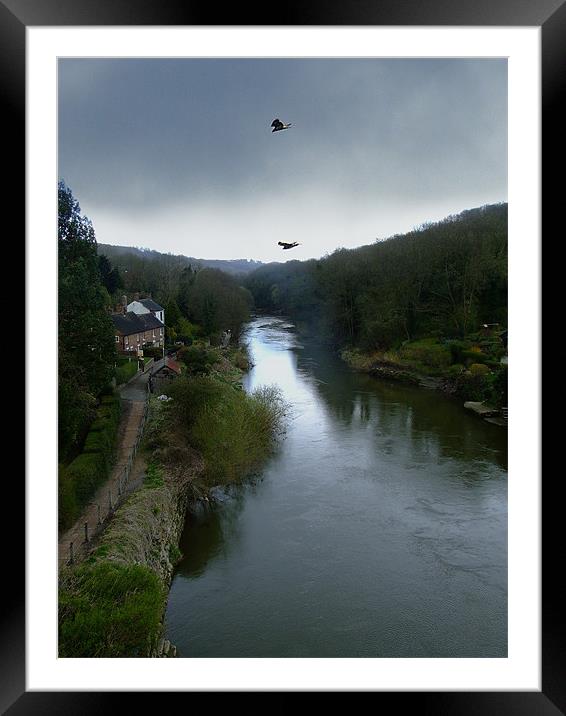 Buzzards over Ironbridge Framed Mounted Print by Carol Young