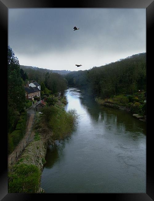 Buzzards over Ironbridge Framed Print by Carol Young