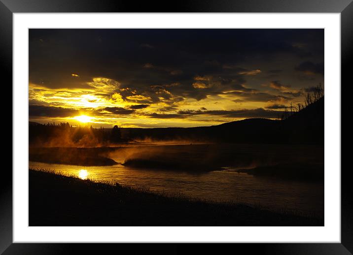 Early morning along Madison River with elks Framed Mounted Print by Claudio Del Luongo