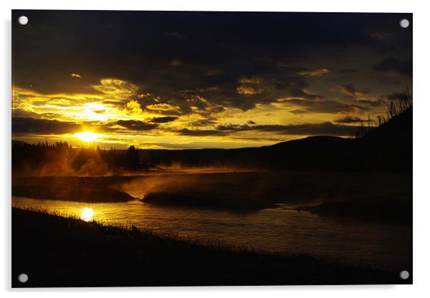 Early morning along Madison River with elks Acrylic by Claudio Del Luongo