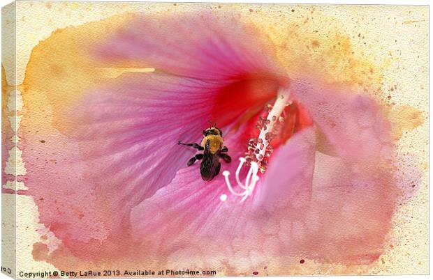 Bumble Bee Bliss Canvas Print by Betty LaRue