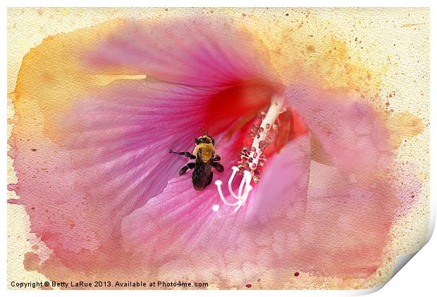 Bumble Bee Bliss Print by Betty LaRue