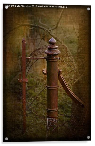 Old Gatepost Acrylic by LIZ Alderdice