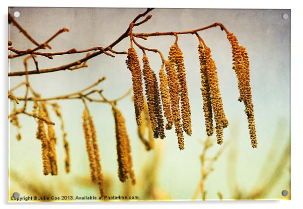 Catkins Acrylic by Julie Coe
