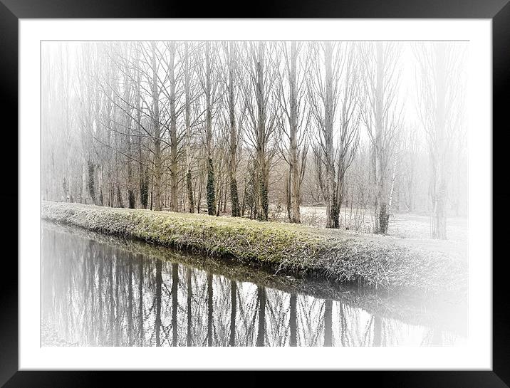 Winter Trees Framed Mounted Print by Richard Thomas
