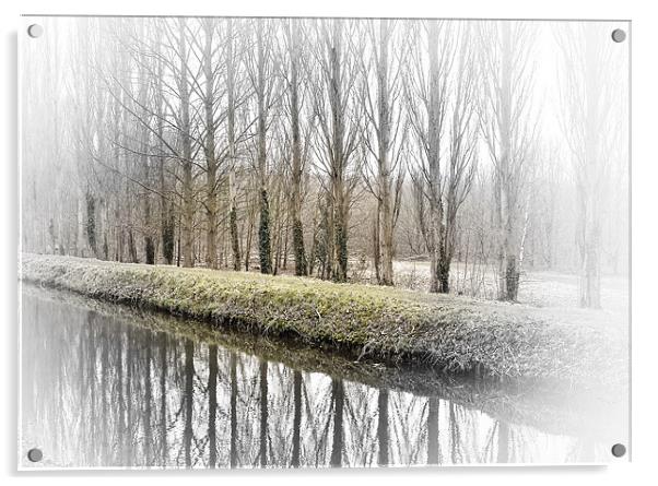 Winter Trees Acrylic by Richard Thomas