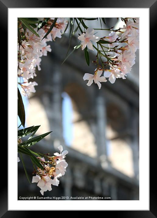 Flowers and Arches - Colloseum - Rome Framed Mounted Print by Samantha Higgs