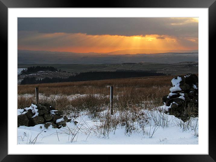 Winter Sunshine Framed Mounted Print by Debra Kelday