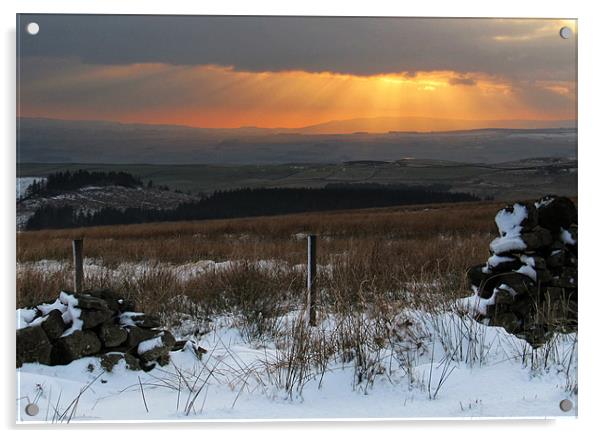 Winter Sunshine Acrylic by Debra Kelday