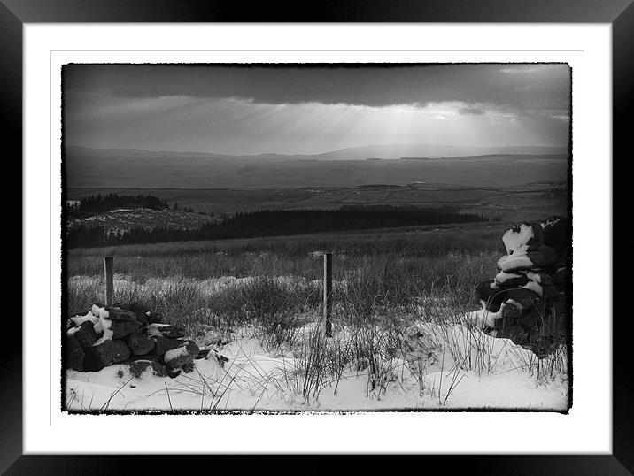 Winter Sunshine (bw) Framed Mounted Print by Debra Kelday