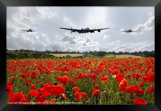 Lancaster Bomber Poppy Fly Past Framed Print by J Biggadike