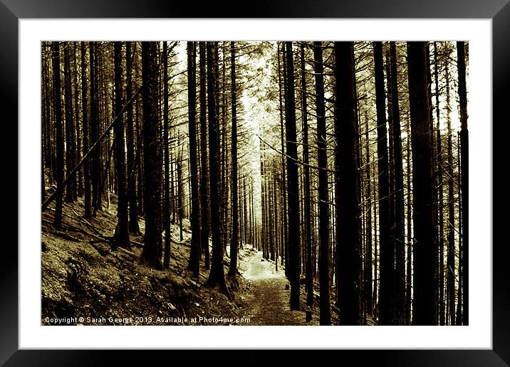 Forest Path Framed Mounted Print by Sarah George