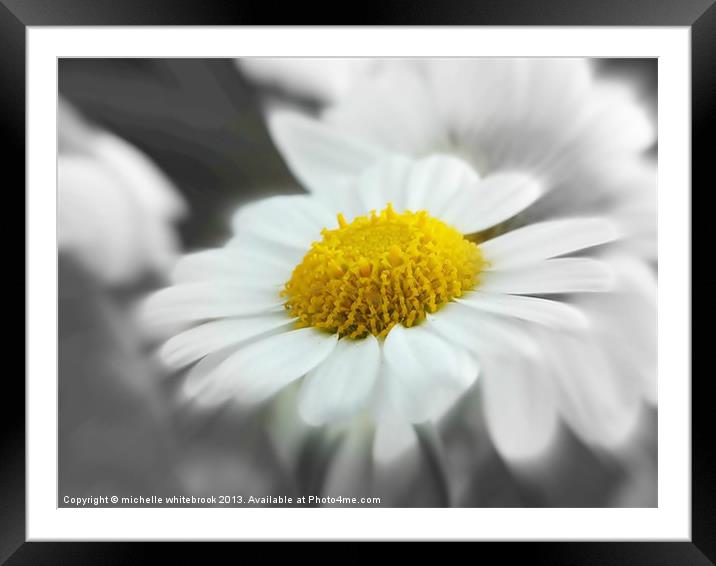 soft daisy 3 Framed Mounted Print by michelle whitebrook