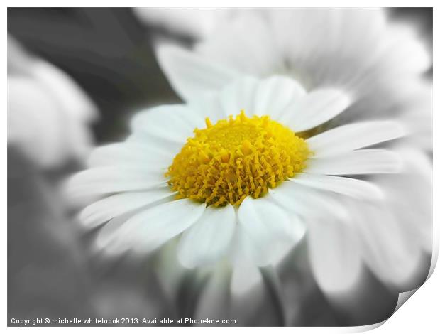 soft daisy 3 Print by michelle whitebrook