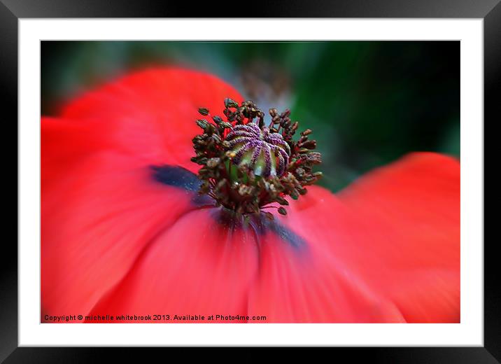 Soft Poppy Framed Mounted Print by michelle whitebrook