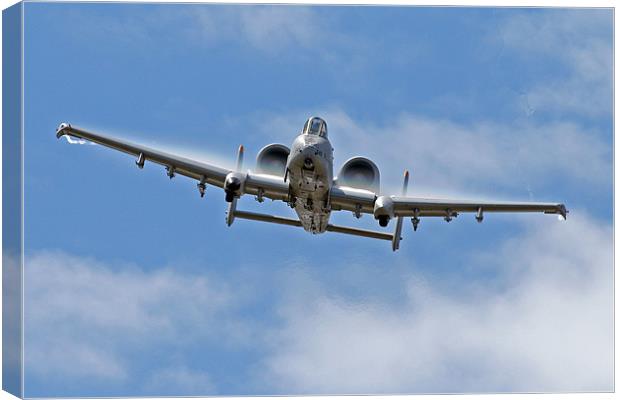 A-10 warthog Canvas Print by Rachel & Martin Pics