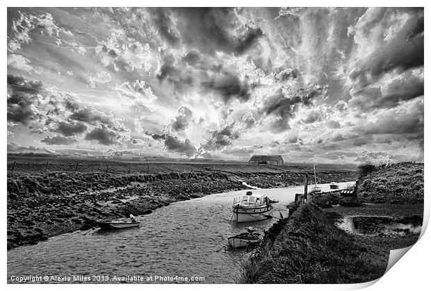 The Braunton Canal Print by Alexia Miles