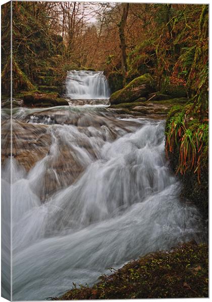 spring watersflow Canvas Print by Stephen Walters