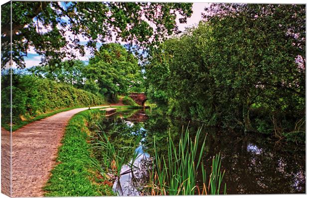 great western canal Canvas Print by Stephen Walters