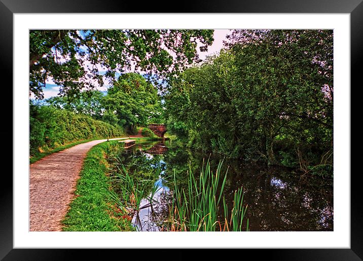 great western canal Framed Mounted Print by Stephen Walters