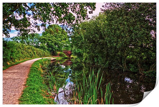 great western canal Print by Stephen Walters