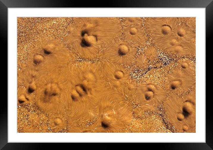 Spring water bubbling through sand Framed Mounted Print by Celia Mannings