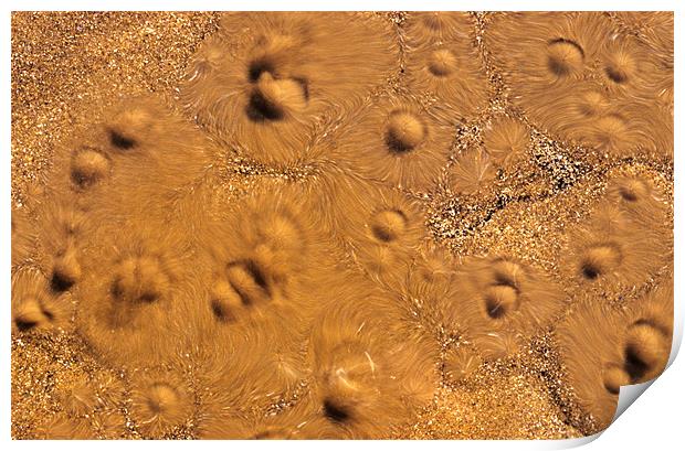 Spring water bubbling through sand Print by Celia Mannings