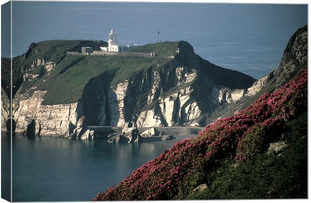 Lundy Island, Devon, lighthouse Canvas Print by Celia Mannings