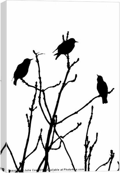 Black Birds on White Canvas Print by Julie Coe