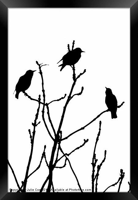 Black Birds on White Framed Print by Julie Coe
