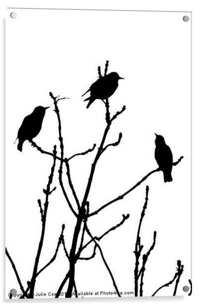 Black Birds on White Acrylic by Julie Coe