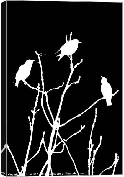 White Birds on Black Canvas Print by Julie Coe