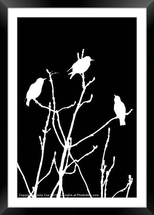 White Birds on Black Framed Mounted Print by Julie Coe