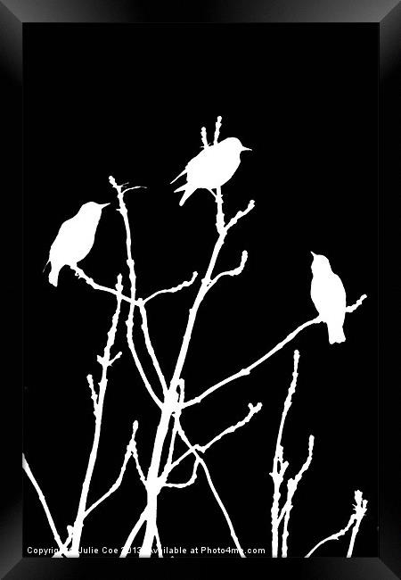 White Birds on Black Framed Print by Julie Coe