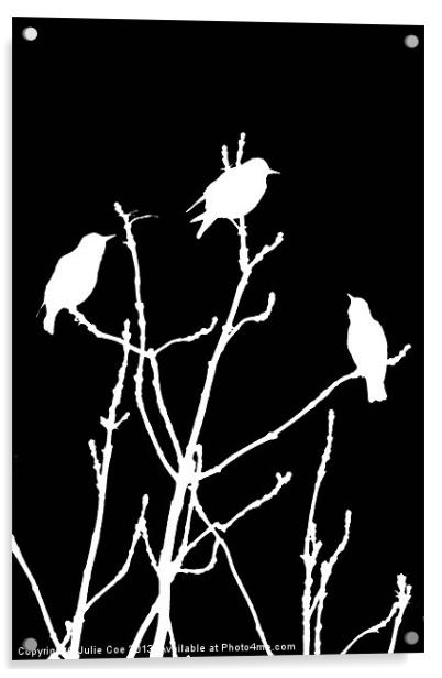 White Birds on Black Acrylic by Julie Coe