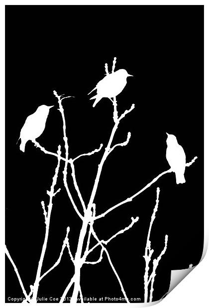 White Birds on Black Print by Julie Coe