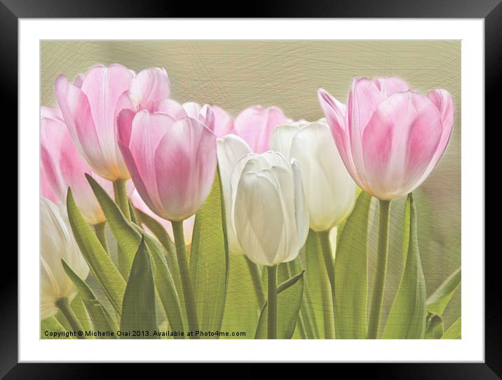 Translucent Tulips Framed Mounted Print by Michelle Orai