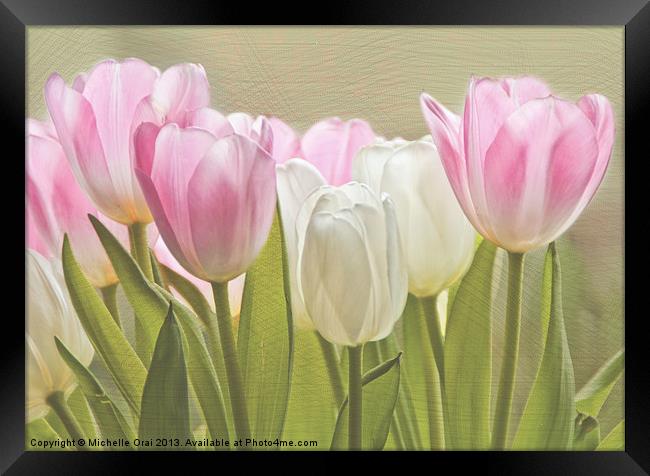 Translucent Tulips Framed Print by Michelle Orai