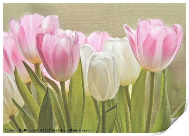 Translucent Tulips Print by Michelle Orai