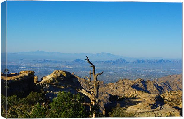 View from Mount Lemmon high above Tucson Canvas Print by Claudio Del Luongo